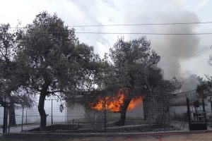1000 2 - Greece wildfires: One more blaze bursts out on Evia island - May 15, 2022