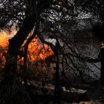 Greece wildfires: One more blaze bursts out on Evia island