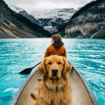 The Best Adventure Travel Destinations for Animals Loving Travelers