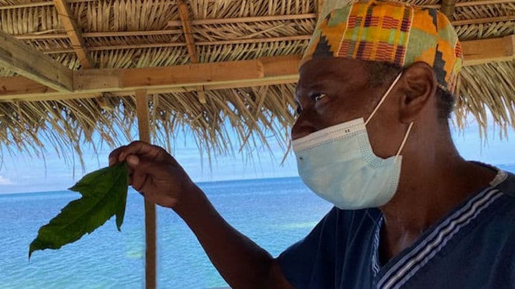 Garifuna medicine man
