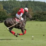 Luxury Travel Insider Guide to Cartier International Polo
