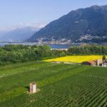 wine Switzerland reg - May 19, 2022