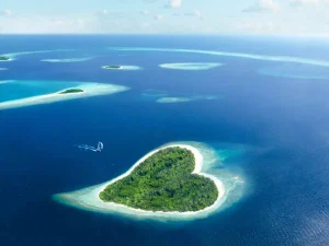 Visit the Maldives