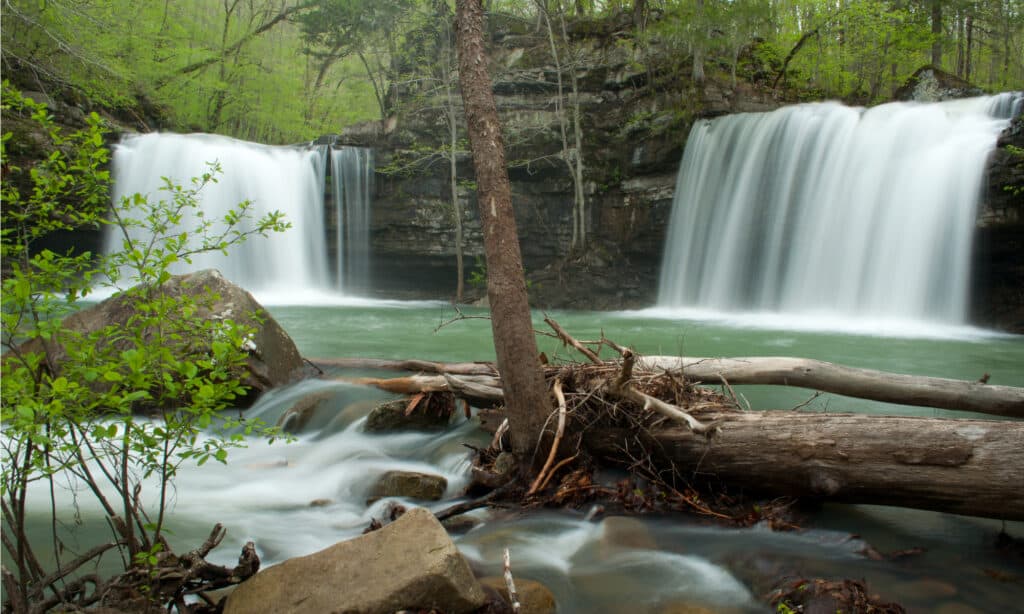 Richland Falls in Arkansas