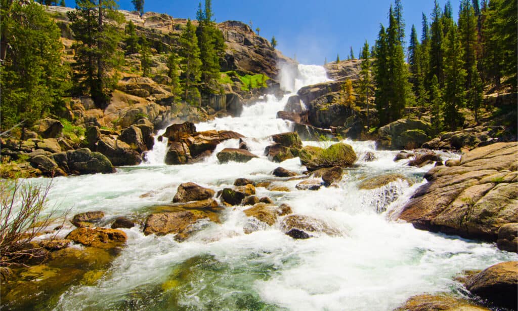 1653079404 263 10 Wildest Rivers in the United States - August 19, 2022