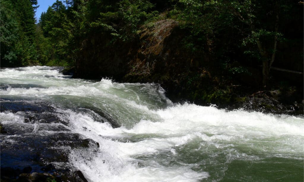 1653079404 959 10 Wildest Rivers in the United States - August 19, 2022