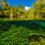 Discover 6 of the Clearest Rivers in the World