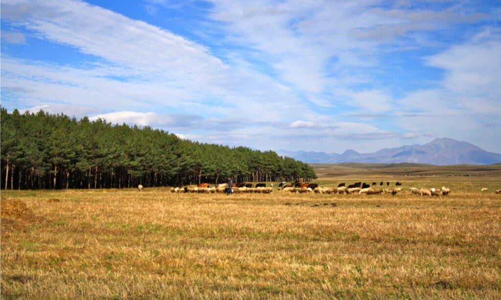 Javakheti National Park