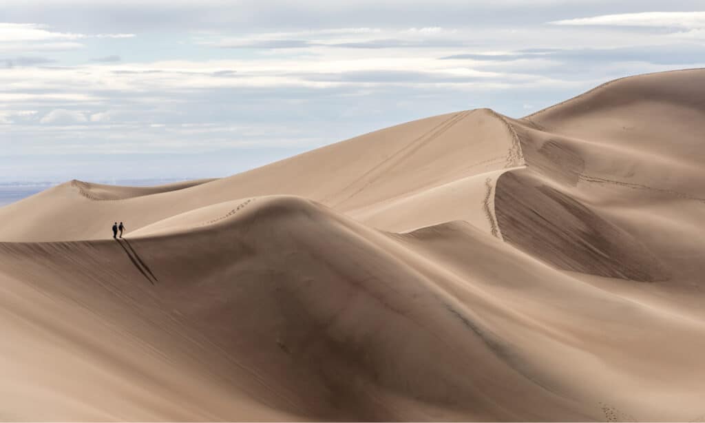 Great Sand Dunes National Park - Sand Dune