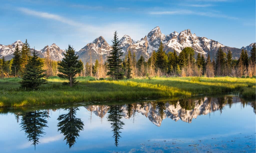Best National Parks to Visit in August - Grand Teton National Park 