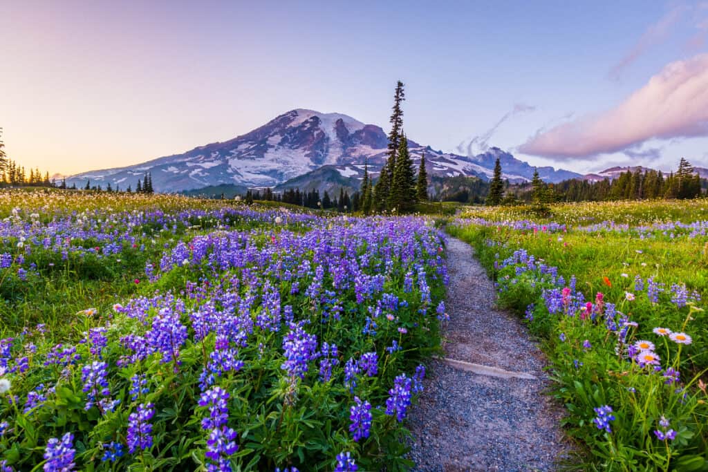 1653300935 649 Discover the 10 Best National Parks to Visit in the - February 1, 2023