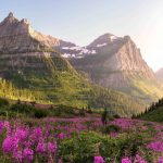 Best National Parks to Visit in August - Grand Teton National Park