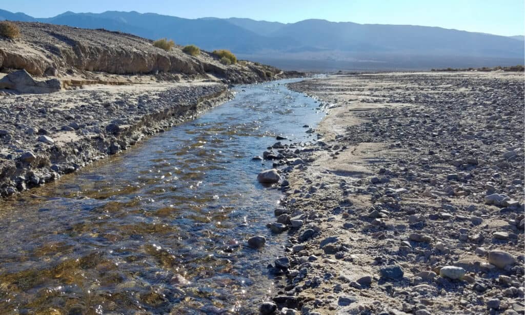Longest Rivers in California - Amargosa River