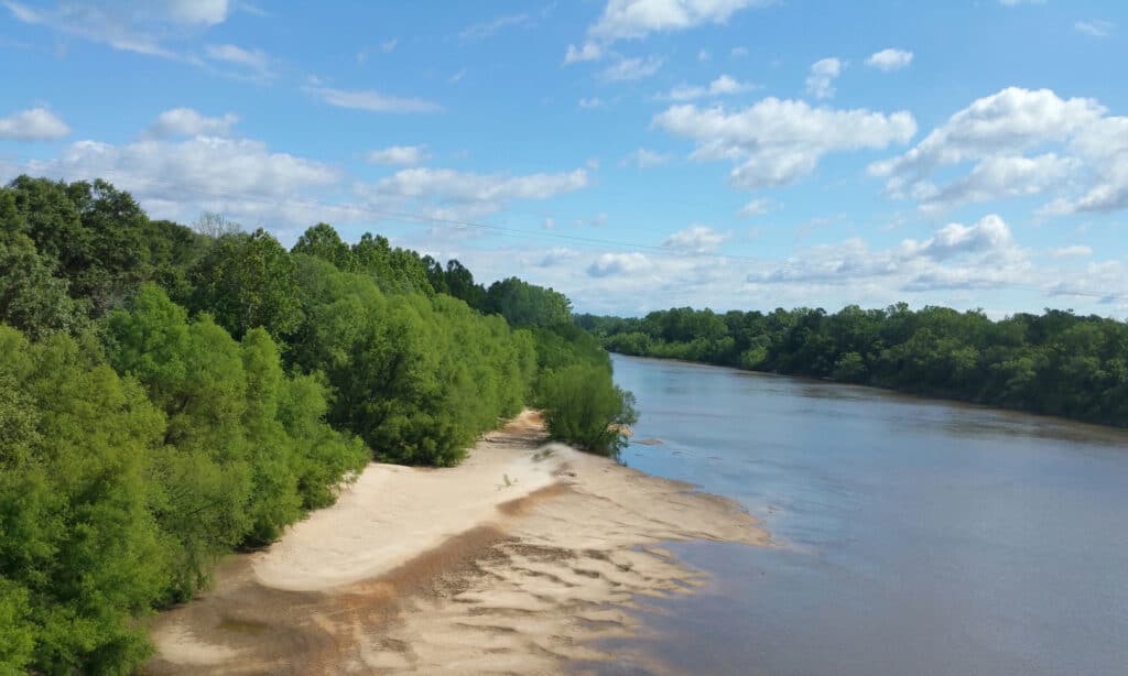 Apalachicola river