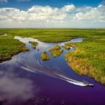 Discover the 15 Largest Rivers in Florida