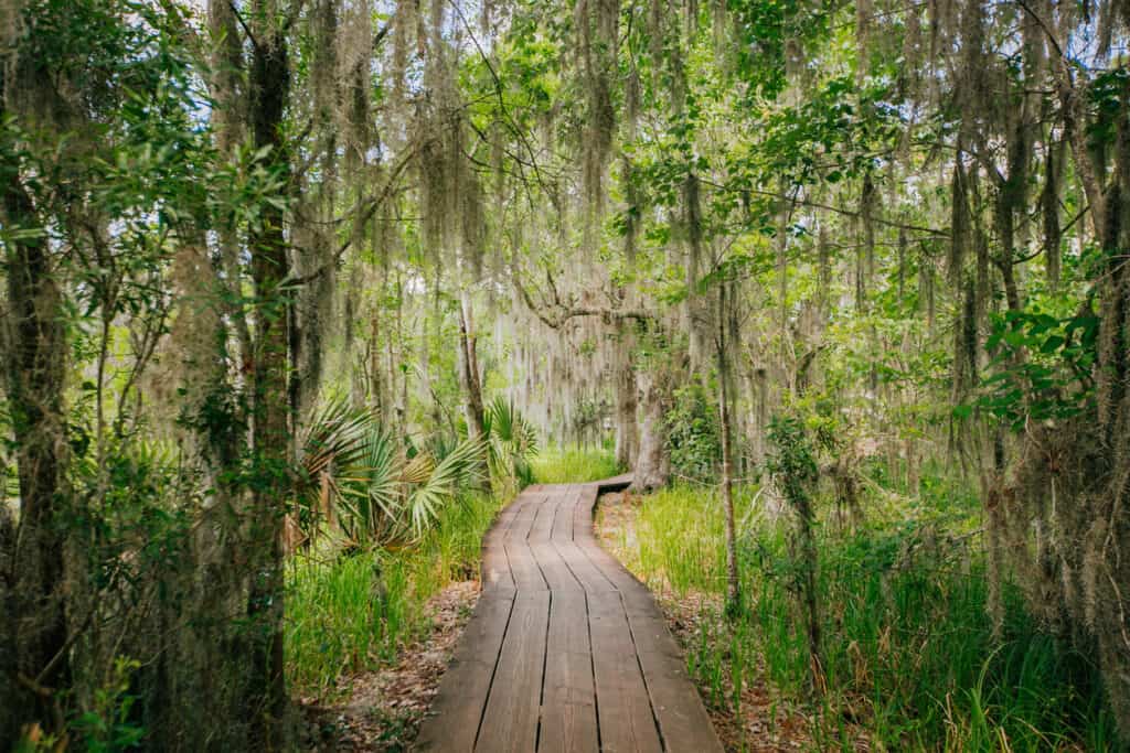 1653444586 203 Discover the 8 Best National and State Parks in Louisiana - August 9, 2022