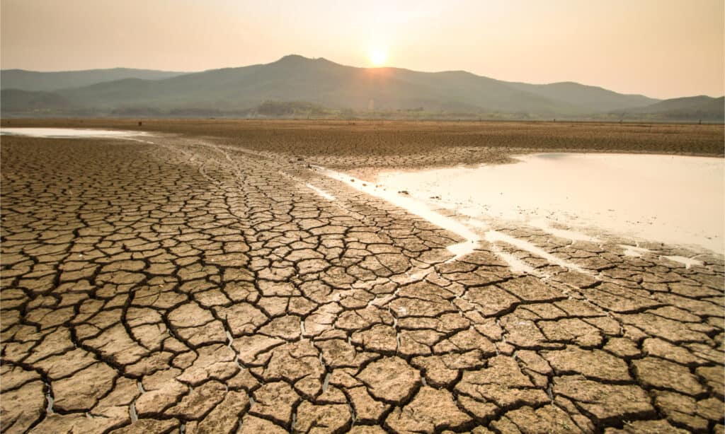 1653580254 317 Droughts in the US Which States are at the Highest - August 9, 2022