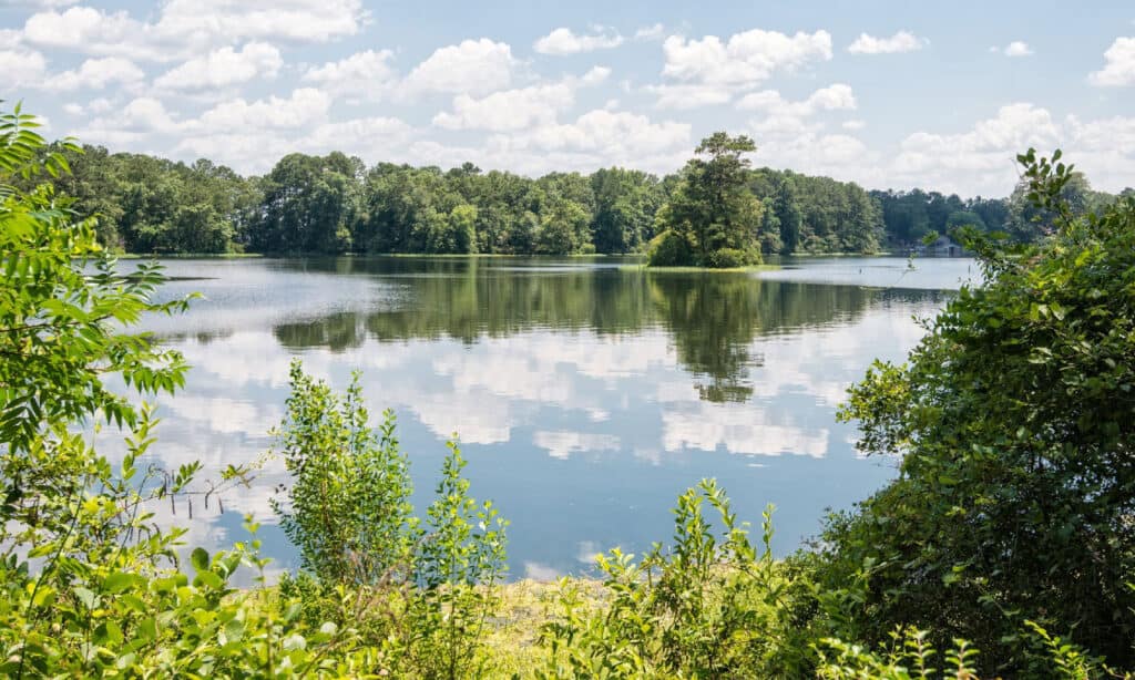 Lay lake in Alabama