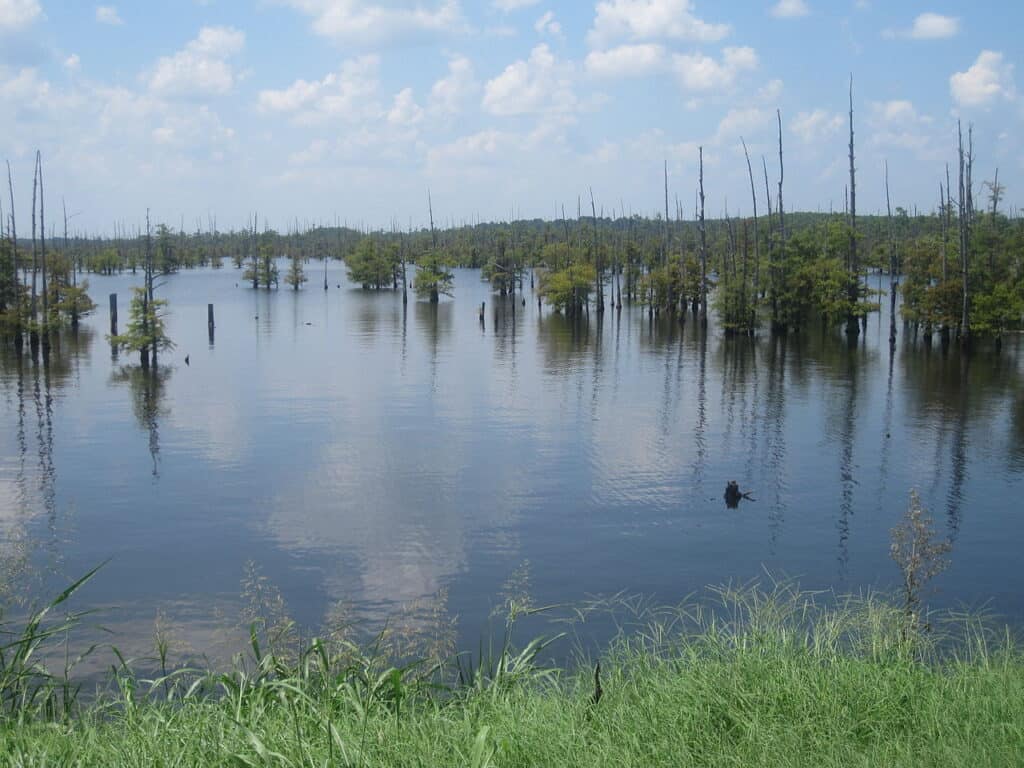 Black Lake Louisiana
