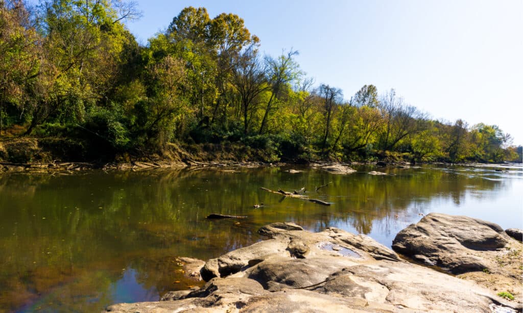 Longest River in North Carolina - Neuse River