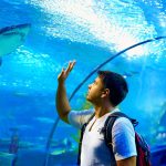 Best Aquarium in Myrtle Beach