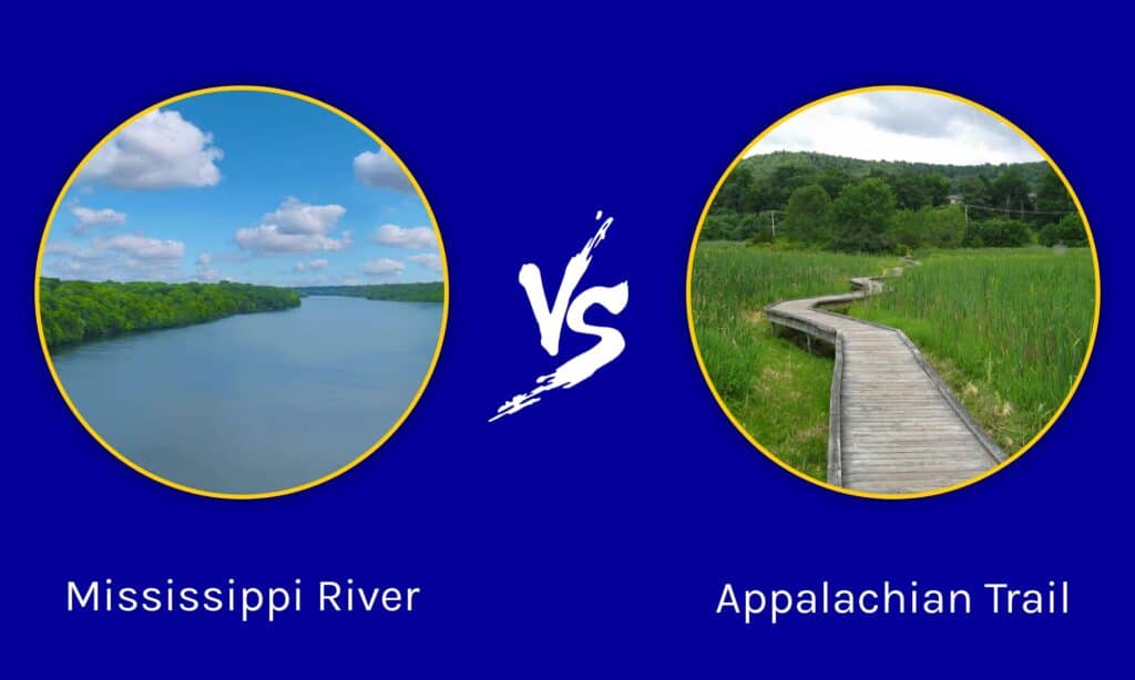 Mississippi River vs Appalachian Trail Which Iconic American Attraction Should - August 19, 2022