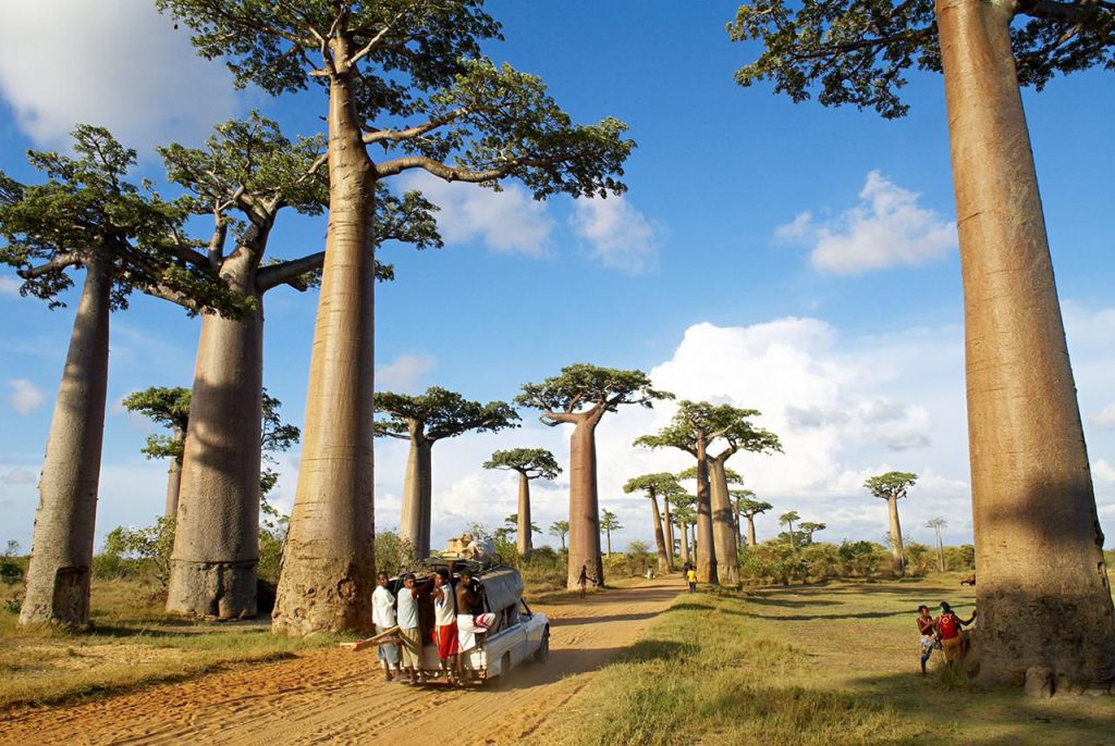 Things to do in Madagascar