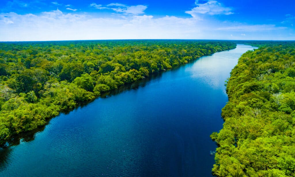Discover the Widest River in the World 7 Miles Wide - May 5, 2024