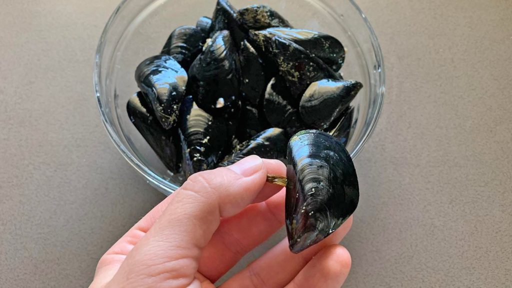 1658508792 307 Marinara mussels the recipe for an easy and tasty fish - August 9, 2022