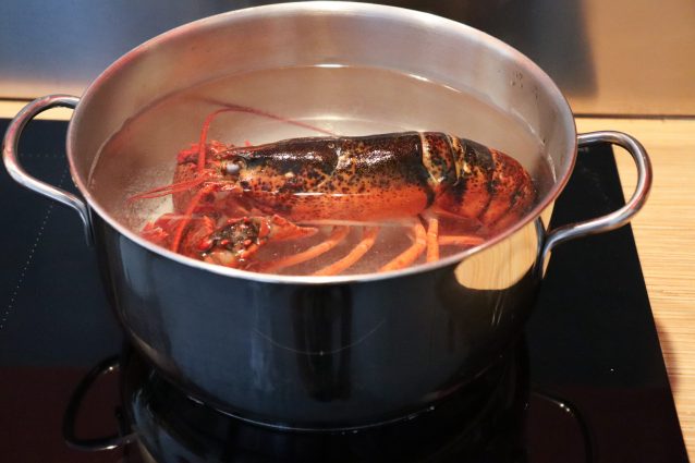 Catalan lobster