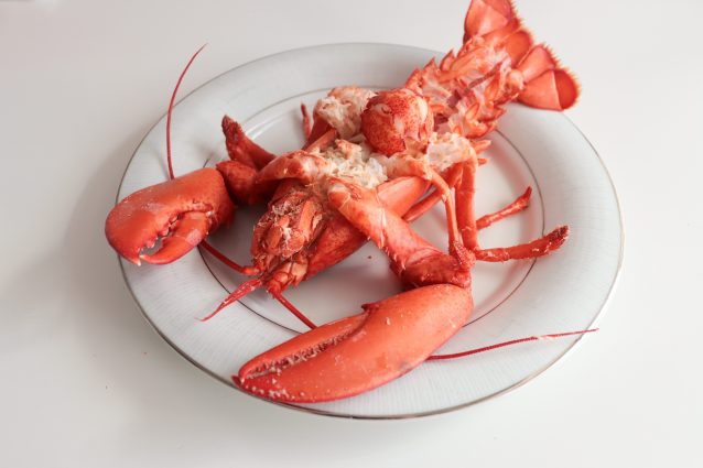 1658537837 894 Catalan lobster the recipe for an elegant and tasty seafood - August 9, 2022